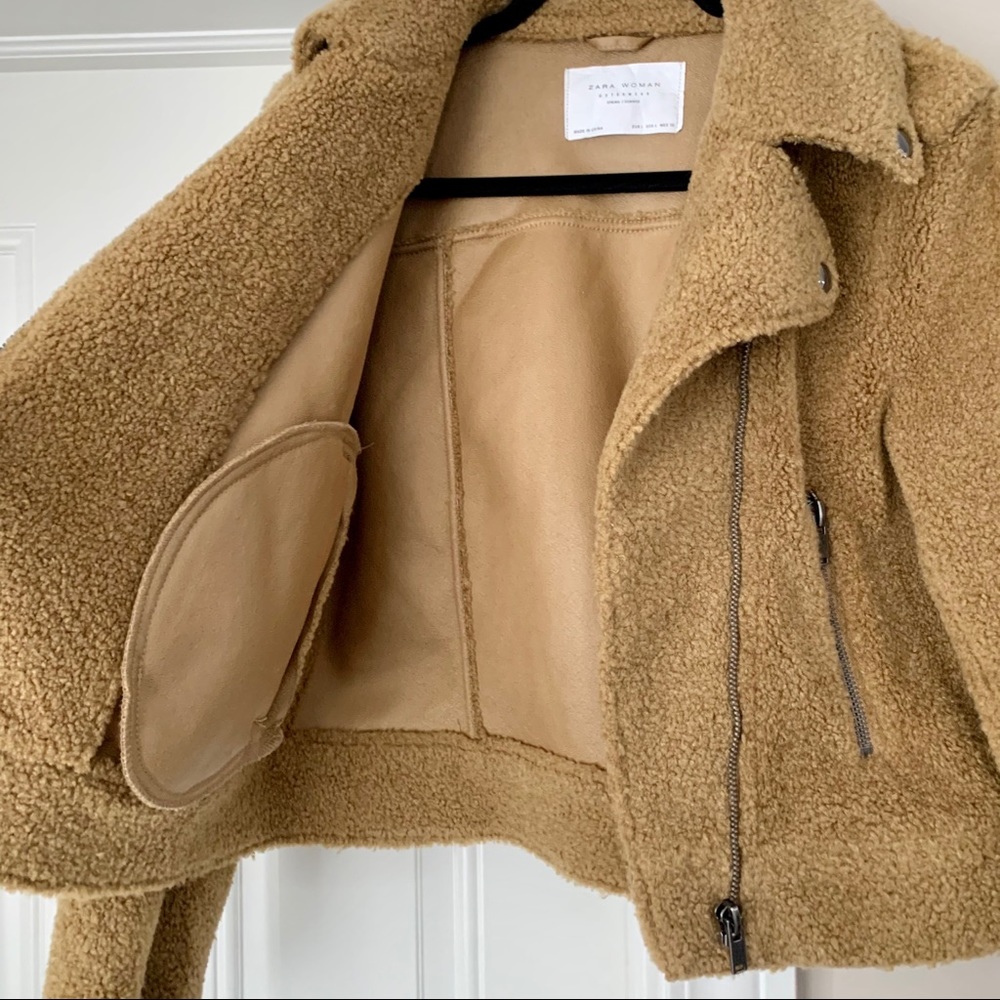 Teddy Moto Jacket - Picture 6 of 9